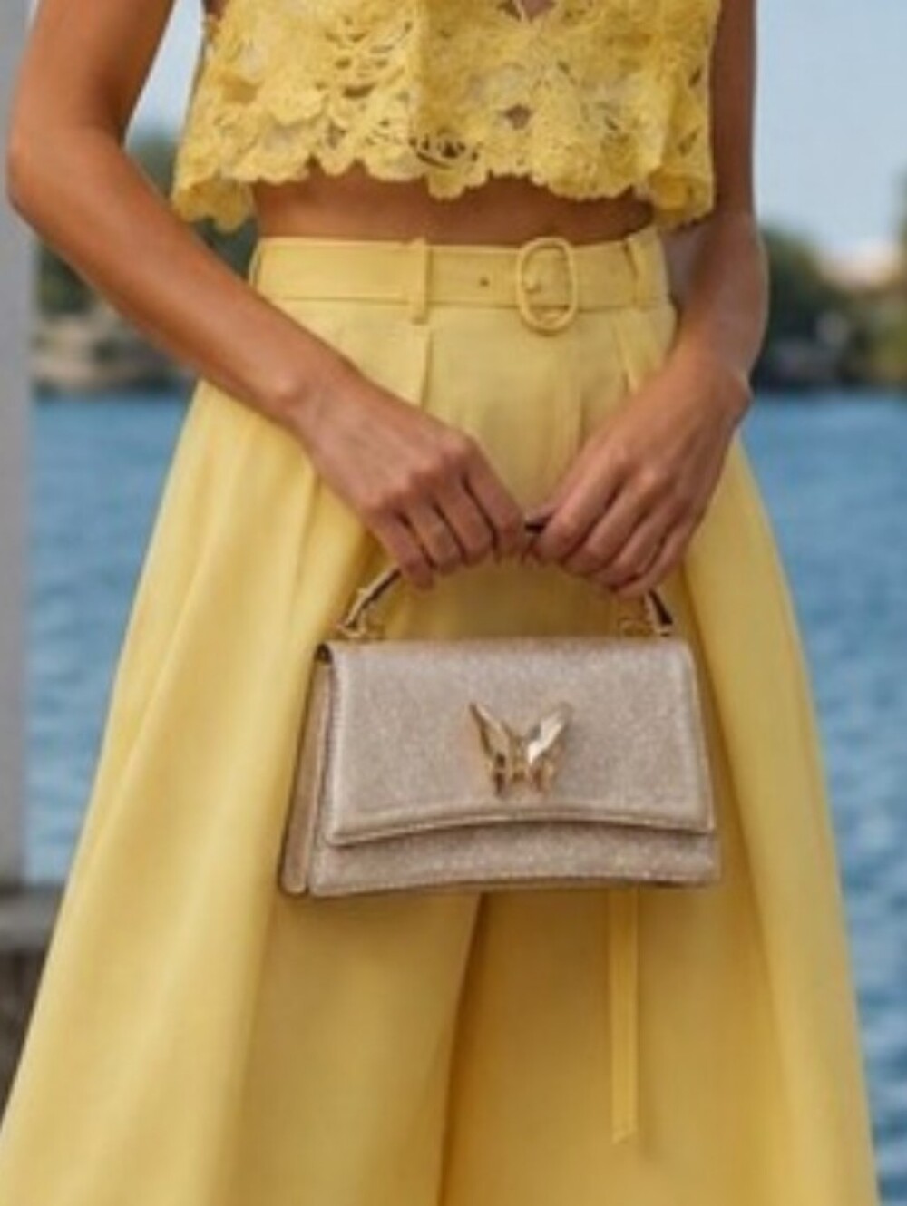 Aldo Glitter Champagne Clutch with Crystal Butterfly